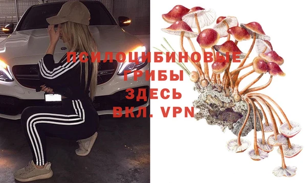 MDMA Premium VHQ Дмитровск