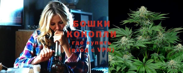 PSILOCYBIN Дмитров