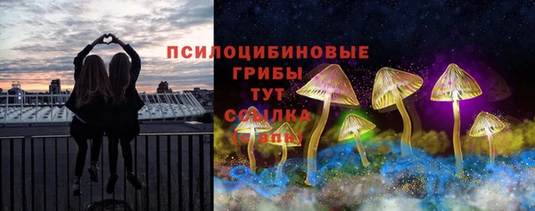 дмт Дмитриев