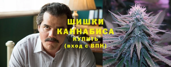 дмт Дмитриев