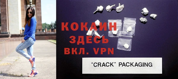 дмт Дмитриев