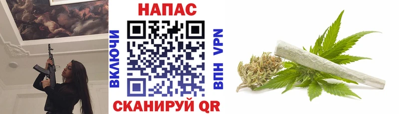 купить   Емва  Бошки марихуана Amnesia 